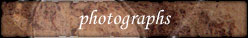 photographs
